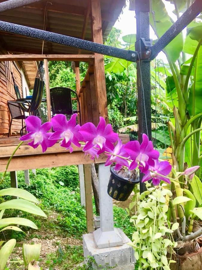Lanta A Toi House Hotel Ko Lanta Exterior foto